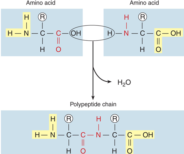 766_What is the chemical reaction.png